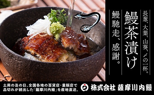 BSR-338 九州産うなぎ蒲焼 3尾 食べごたえある3人前