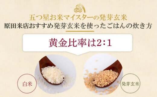 BSR-376 発芽玄米 4kg(1kg×4袋)