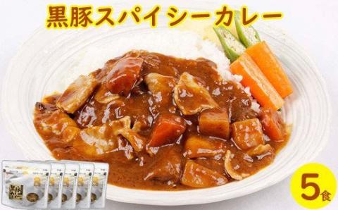 AS-337 鹿児島県産黒豚スパイシーカレー 1㎏(200g×5)