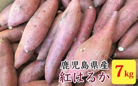 ZS-926 【2025年内発送】【訳あり】【農家直送】ママたちの想いをギュッ！薩摩で育てたさつまいも（紅はるか）洗い 規格外 7ｋｇ