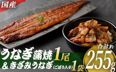 AS-143 九州産うなぎ蒲焼×1尾 + 国産きざみうなぎ ごぼう入り（タレ付き）×1袋 セット
