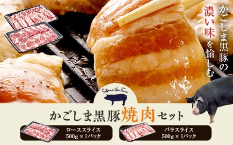 BS-004 かごしま黒豚焼き肉セット 1kg (ロース肉500g･バラ肉500g) 焼肉 薩摩八重ファーム 工房みかく亭