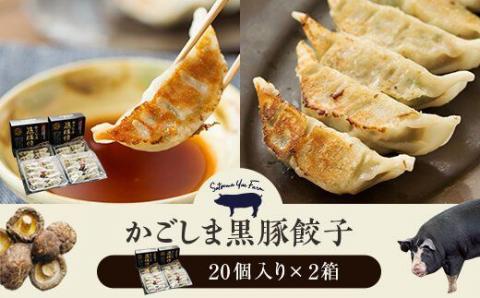 AS-021 かごしま黒豚餃子2箱 合計40個 ぎょうざ ギョーザ 薩摩八重ファーム 工房みかく亭