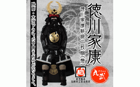 TS1-901 徳川家康 大黒頭巾（梅）