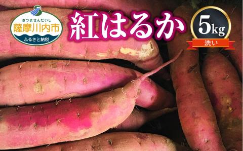 ZS-922 【農家直送】2026年明け発送 ママたちの想いをギュッ！薩摩で育てたさつまいも（紅はるか） 洗い 5kg 中サイズ