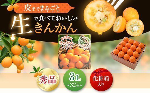 ＪＡ北さつまの鹿児島県産きんかん「いりき」【3L・32玉入】季節限定　1月より順次お届け AS-2233