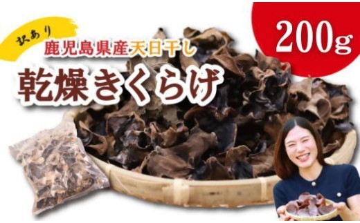 ＼"訳アリ”／鹿児島県産天日干し乾燥きくらげ 合計200g 国産 訳あり 訳アリ 業務用 乾燥きくらげ 野菜 きのこ 健康 食物繊維 低カロリー エムズ わか農園 サラダ みそ汁 スープ 炒め物 煮物 和え物 鹿児島県 薩摩川内市 送料無料 AS-0145