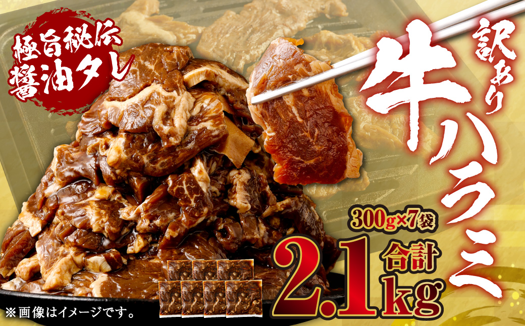 やわらか 牛ハラミ（サガリ）肉 極旨秘伝醤油タレ漬け 合計2.1kg（300g×7袋）【訳あり】ハラミ 牛肉 AS-578
