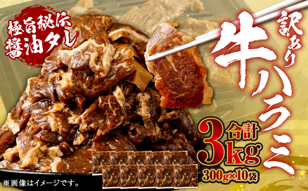 やわらか 牛ハラミ（サガリ）肉 極旨秘伝醤油タレ漬け 合計3.0kg（300g×10袋）【訳あり】ハラミ 牛肉 BS-147