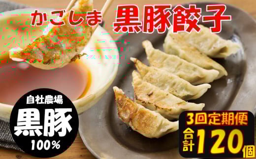BS-820 【3回定期便】かごしま黒豚餃子 合計120個