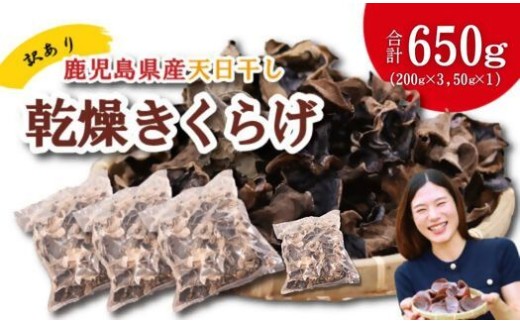 ＼"訳アリ”／鹿児島県産天日干し乾燥きくらげ 合計650g 国産 訳あり 訳アリ 業務用 乾燥きくらげ 野菜 きのこ 健康 食物繊維 低カロリー エムズ わか農園 サラダ みそ汁 スープ 炒め物 煮物 和え物 鹿児島県 薩摩川内市 送料無料 BS-862