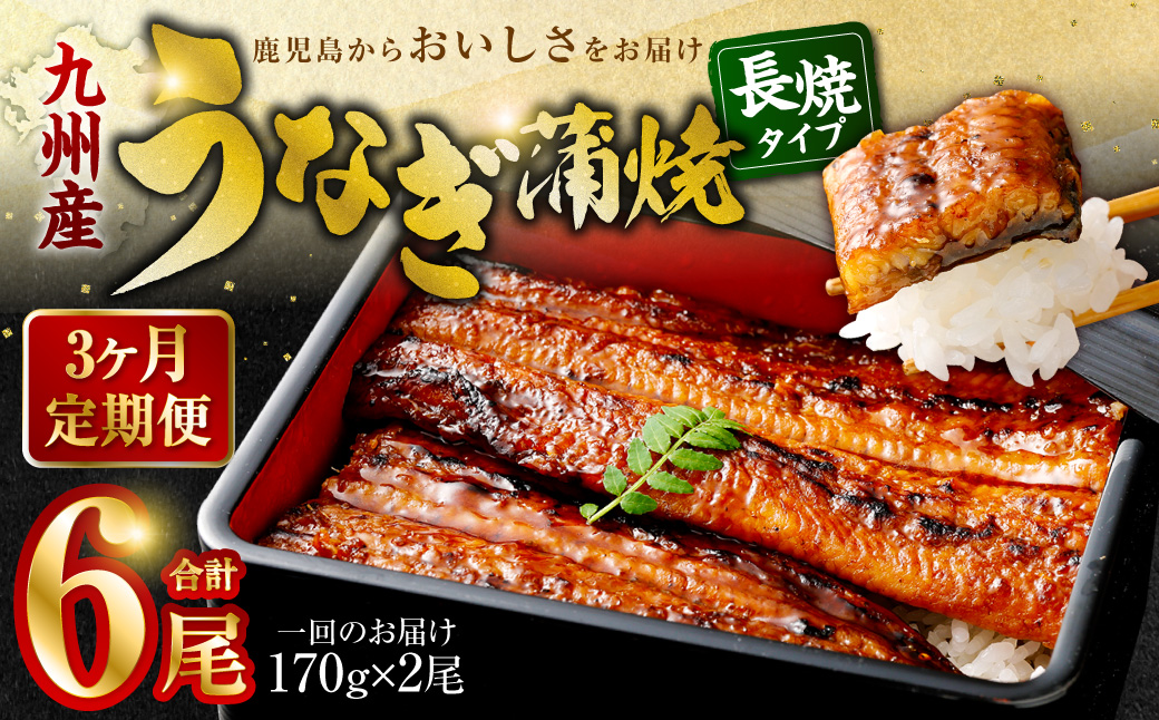 DS-605【3カ月定期便】 九州産うなぎ蒲焼 約170g×2尾×3回
