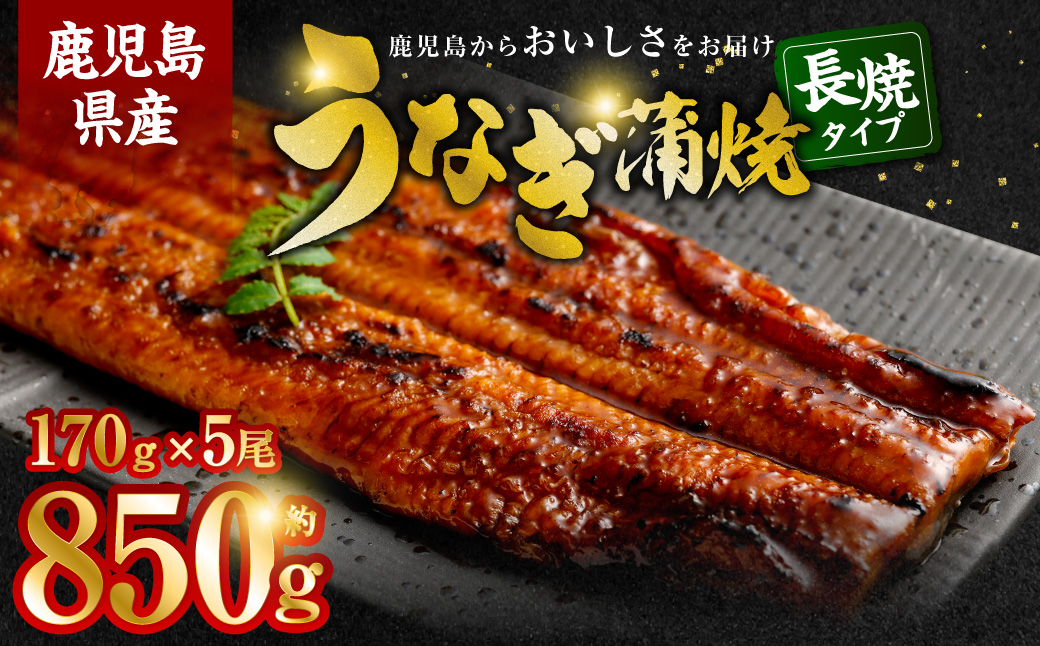 鹿児島県産 うなぎ蒲焼　約170ｇ×5尾