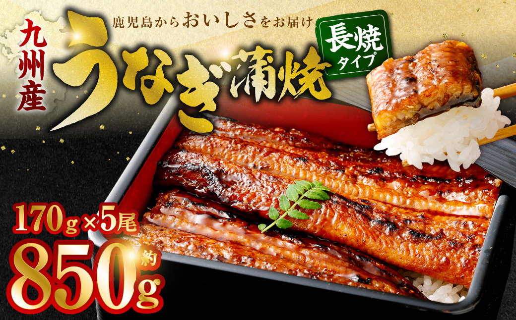 九州産 無頭うなぎ蒲焼 約170g×5尾 計850g
