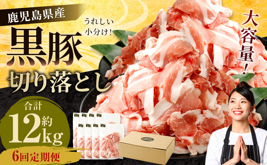GSR-032 【6ヶ月定期便】鹿児島県産黒豚 大容量小分けパック切り落とし 合計12kg（2kg×6回） 黒豚 黒豚切り落とし 切り落とし 豚肉 ウデ肉 肩肉