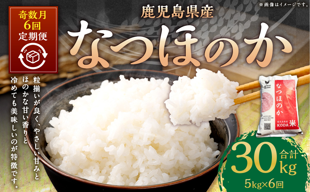 HS-112 【新米先行予約】【KODAMAFARMS】なつほのか 5kg（計30kg） KODA米 【奇数月6回定期便】【2025年11月以降 奇数月に順次発送】 精米 米 お米 定期 奇数月