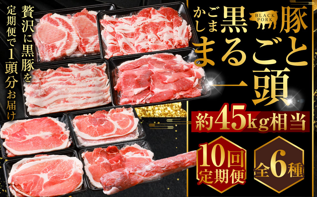 【10回定期便】かごしま黒豚1頭まるごと 約45kg 生産者直送 鹿児島 黒豚 まるごと 1頭 定期便 薩摩八重ファーム 工房みかく亭 MSR-601