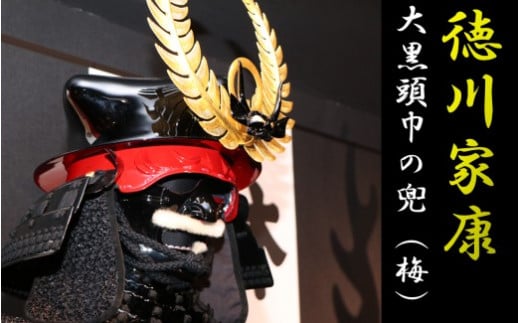 RS-801 徳川家康大黒頭巾の兜（梅）