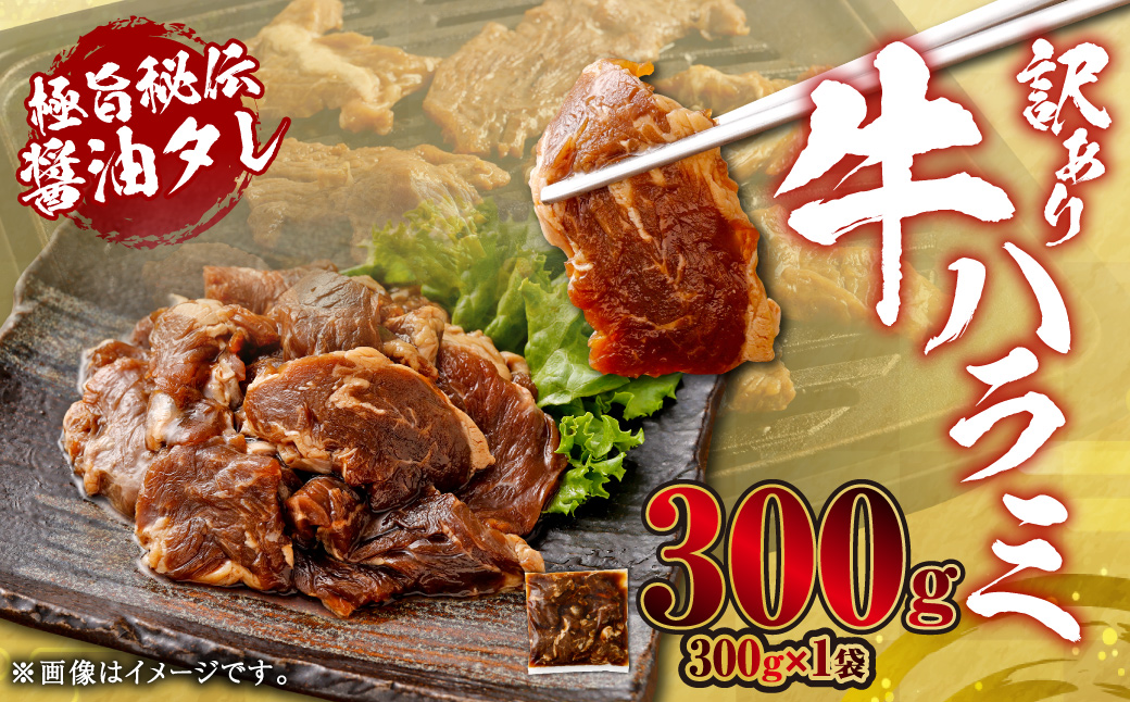 やわらか 牛ハラミ（サガリ）肉 極旨秘伝醤油タレ漬け 合計300g（300g×1袋）【訳あり】ハラミ 牛肉 ZS-553