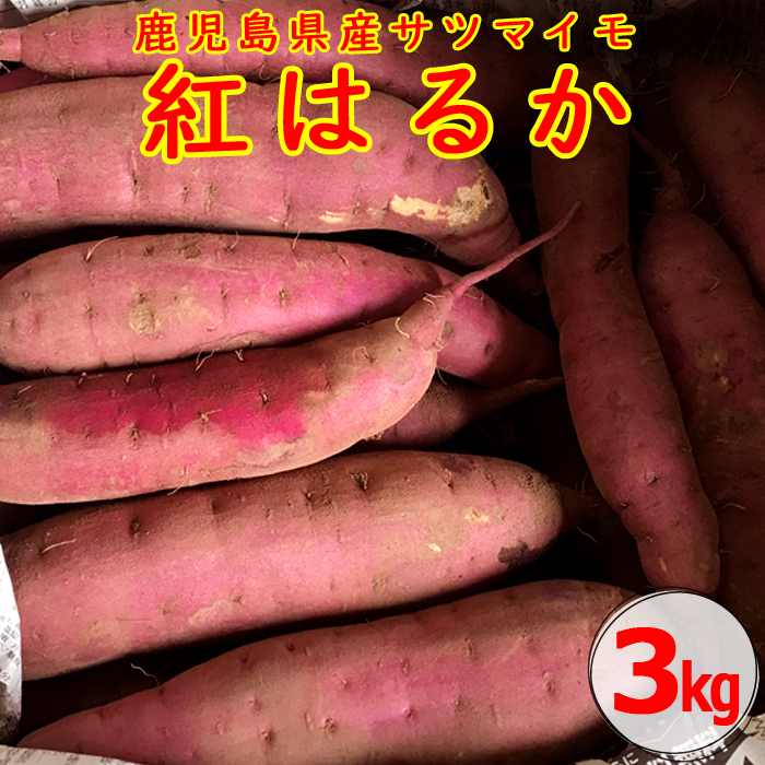 ZS-604 【2025年内発送】【農家直送】ママたちの想いをギュッ！薩摩で育てたさつまいも（紅はるか）洗い3kg 小サイズ