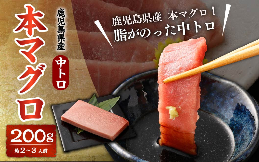 AS-401 鹿児島県産 本マグロ【黒マグロの中トロ】 200g(約2～3人前)