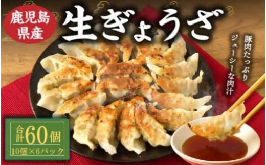 Z-814 鹿児島 生ぎょうざ70個セット 餃子のたれ付き