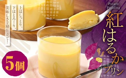 紅はるかプリンセット（5個入り）