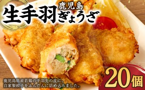 鹿児島生 手羽ぎょうざ (20本) 餃子のタレ付き 餃子 ギョーザ