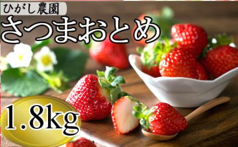 BSR-330[季節限定]鹿児島県産いちご(さつまおとめ) 1.8kg(450g×4トレー) [1月以降順次発送]