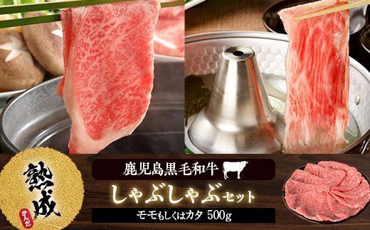 鹿児島県産黒毛和牛しゃぶしゃぶ 500g Cセット 名産鹿児島和牛かんだ本店