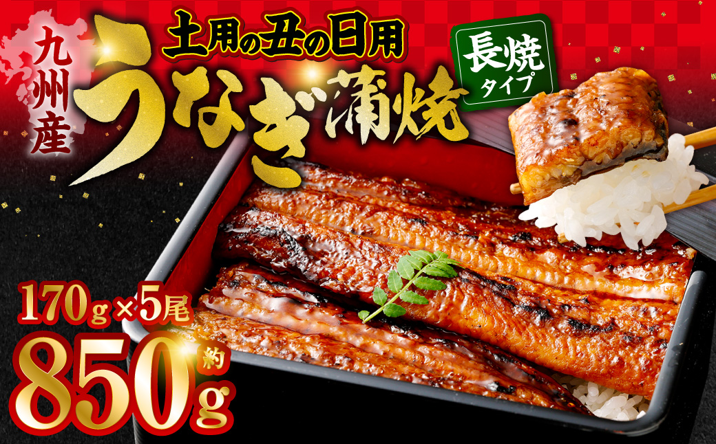国産うなぎ蒲焼 5尾 食べごたえある5人前 計約850g（約170g×5尾 ）