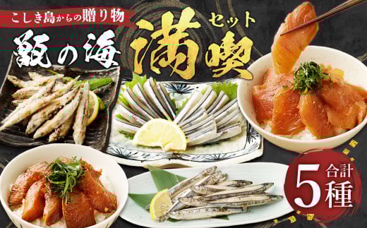 こしき島からの贈り物 甑の海 満喫セット