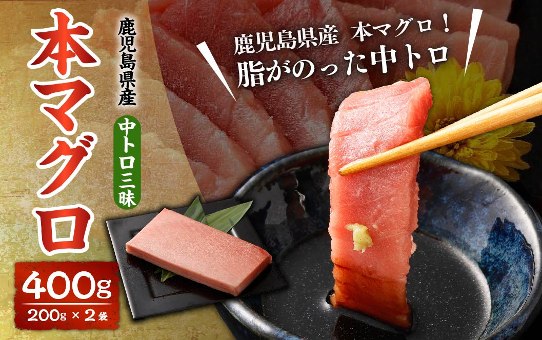 鹿児島県産 本マグロ 中トロ三昧 合計400g(200g×2袋)