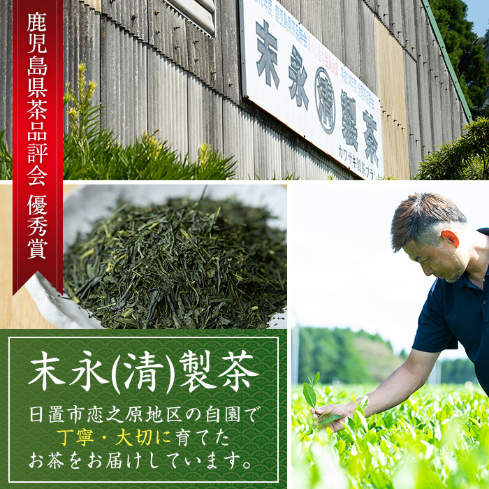No.410 ＜鹿児島県産＞煎茶(100g×5袋セット 計500g)【末永(清)製