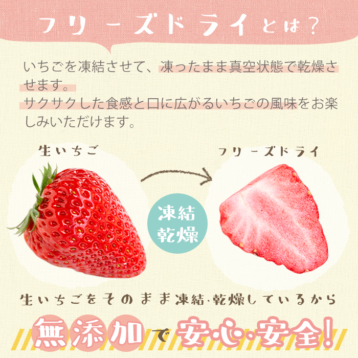 No.464 いちごのフリーズドライセット(赤いちご9g×3袋・白い