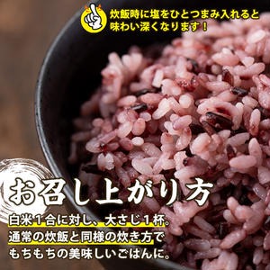 No.466 日置市産宮田黒米(計1.25kg・250g×5袋) 国産 九州産 お米 