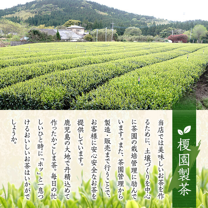 No.615 鹿児島県産の煎茶セット「さくら」厳選した4種類の品
