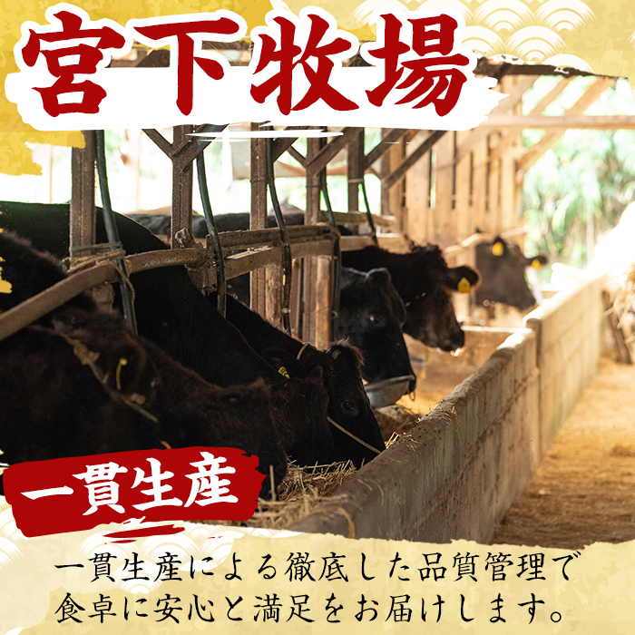 No.727 ＜定期便・全3回(連続)＞黒毛和牛の赤身牛肉コース(全