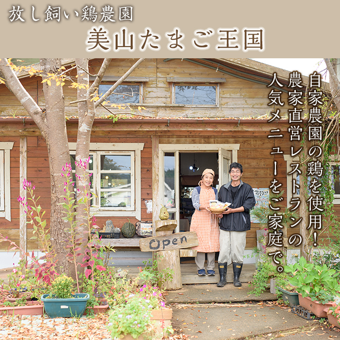 No.759 赤鶏刺身半身セット(計960g・240g×4袋) 国産 九州産 赤鶏