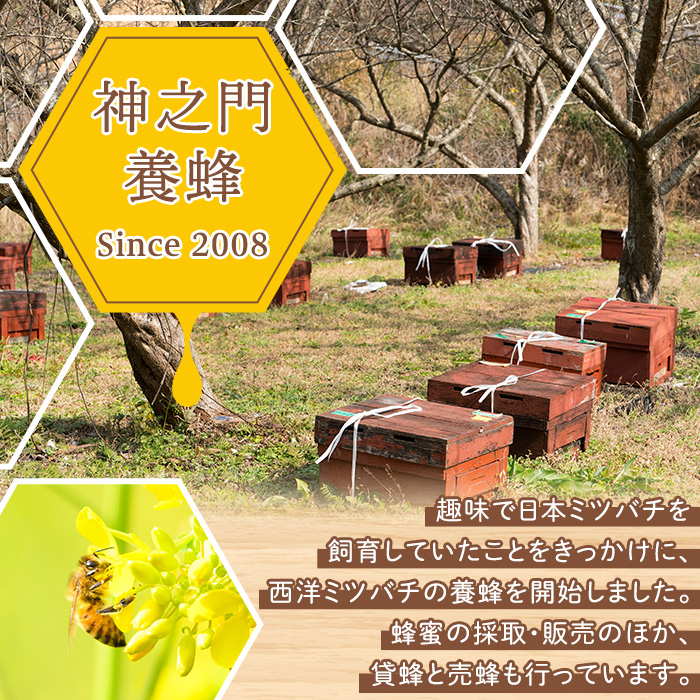 No.1074 日置市産 はちみつ(500g×2本・計1kg) 国産 九州産 鹿児