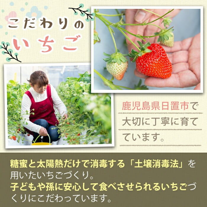 No.1162 ＜先行予約受付中！＞紅白いちごの食べ比べセット(