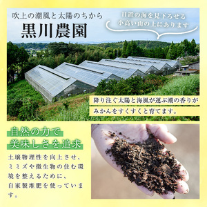 No.1250 ＜数量限定＞薩摩不知火クラフトビール「FukiageIPA」(3