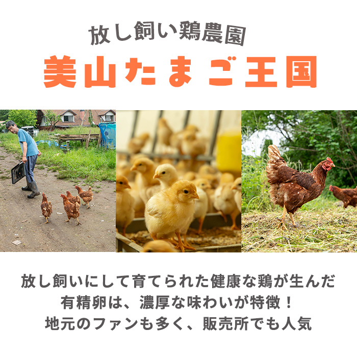 No.782 鹿児島県産有精卵(40個・ 割れ保証込み) 国産 鹿児島県