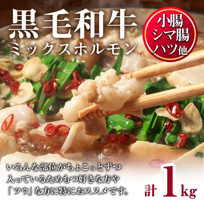 No.1001-01 黒毛和牛ミックスホルモン(計1kg) 国産 九州産 牛肉 