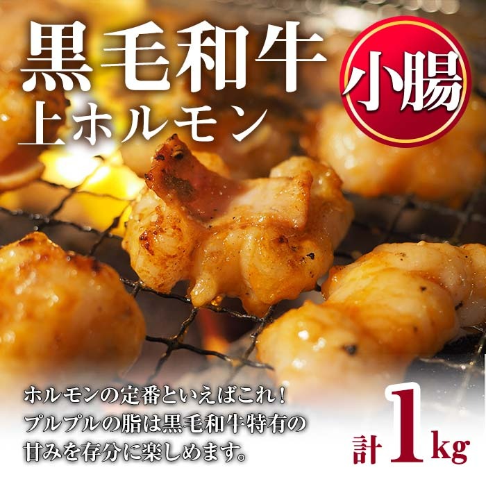 No.1001-02 黒毛和牛上ホルモン(計1kg) 国産 九州産 牛肉 黒毛和