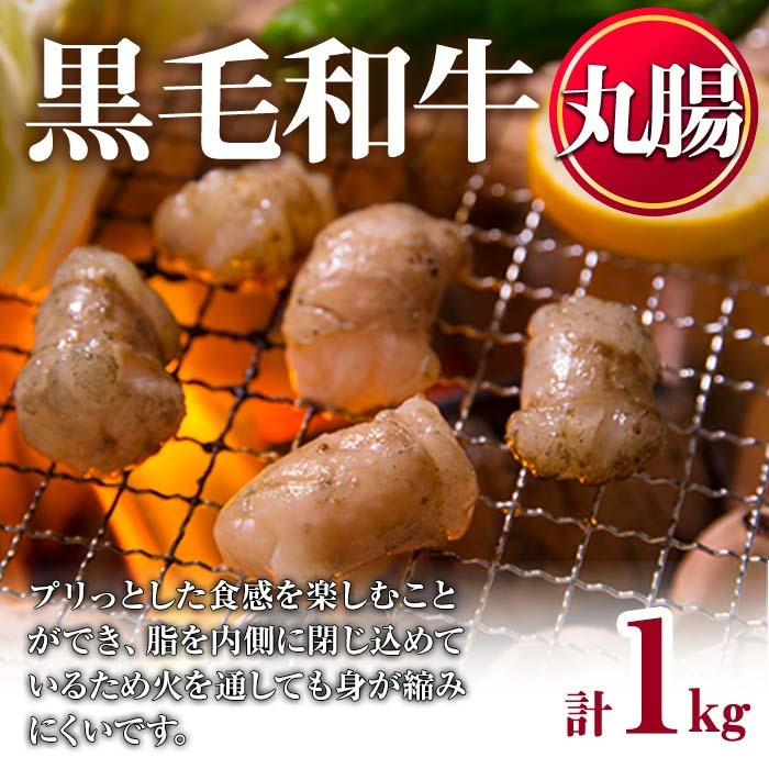 No.1001-03 黒毛和牛丸腸(計1kg) 国産 九州産 牛肉 黒毛和牛 和