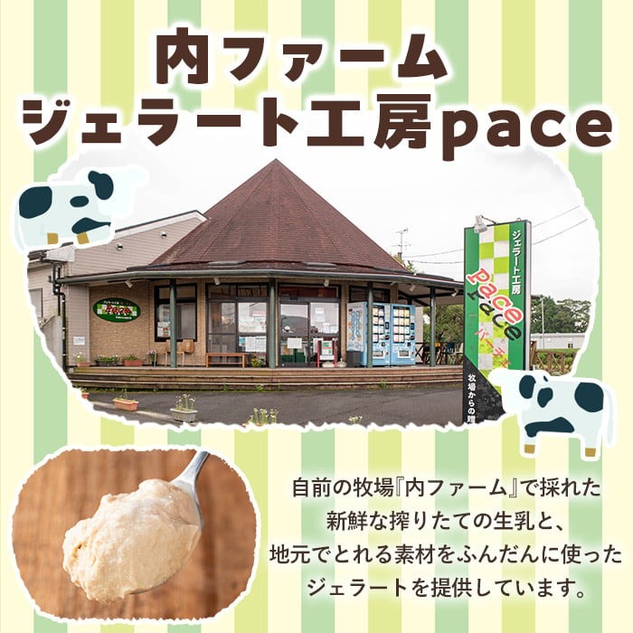 No.314-01 ＜平日着＞paceのアイスクリームセット！(計8個・6種