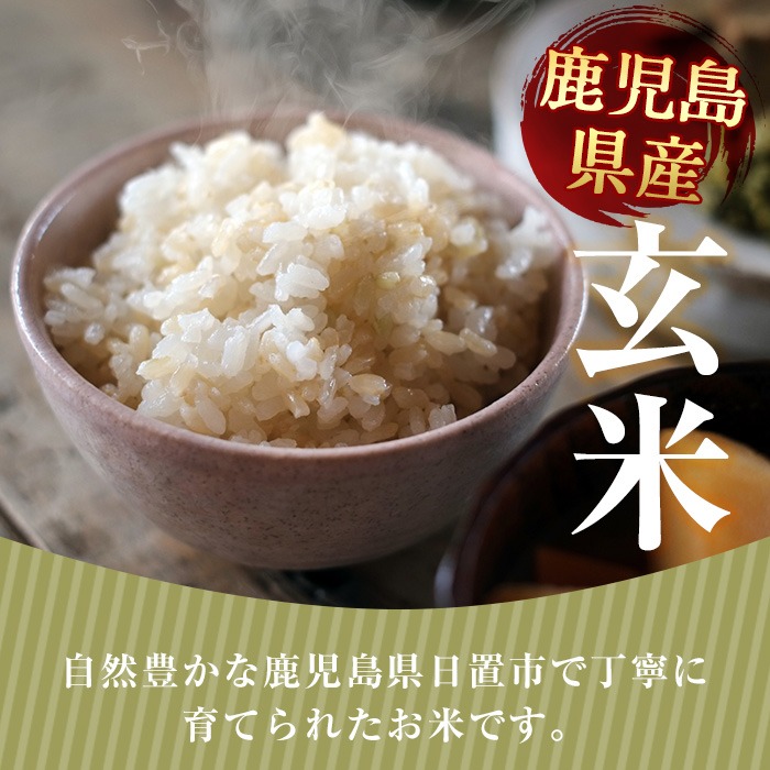 No.930-B 日置市産ヒノヒカリ(玄米・5kg×2袋) 【末永商店】