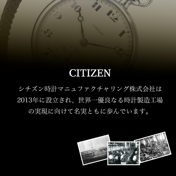 No.840-E CITIZEN腕時計「ザ・シチズン」(AQ4080-52E) 日本製 防水 