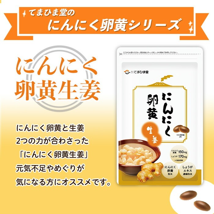 No.1285-B ＜定期便・全6回(隔月)＞てまひま にんにく卵黄生姜